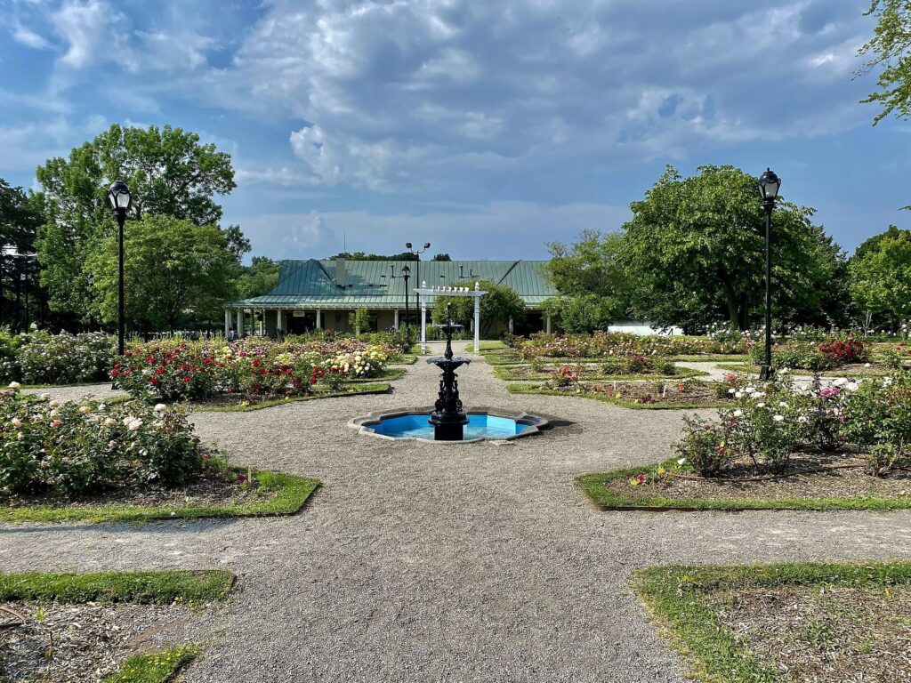 The Delaware Park Rose Garden with a white arbor, gravel paths and beds of roses in bloom under a blue sky