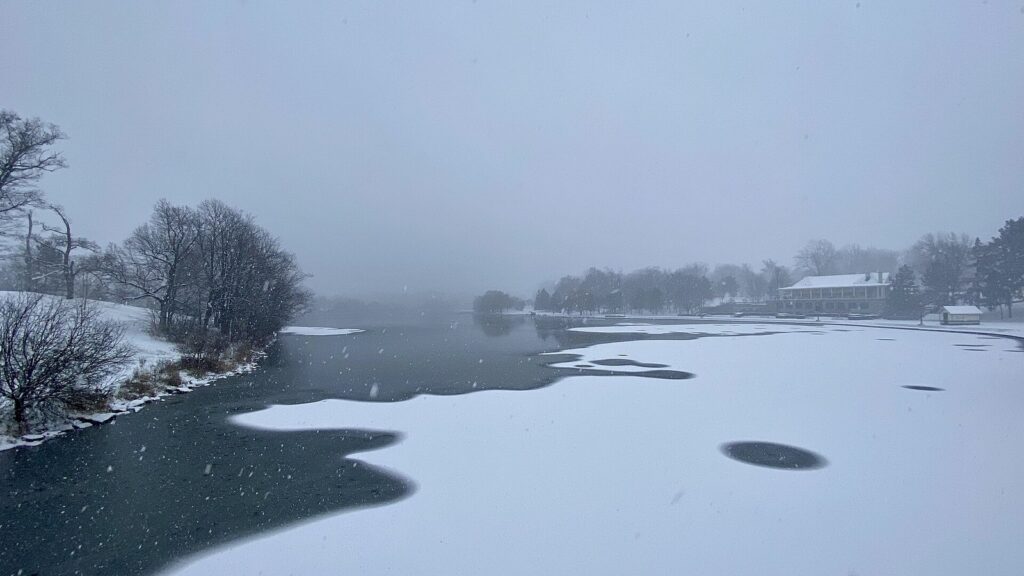 Snow falling over Hoyt Lake in Delaware Park, with thin ice on the water and bare trees along the shore