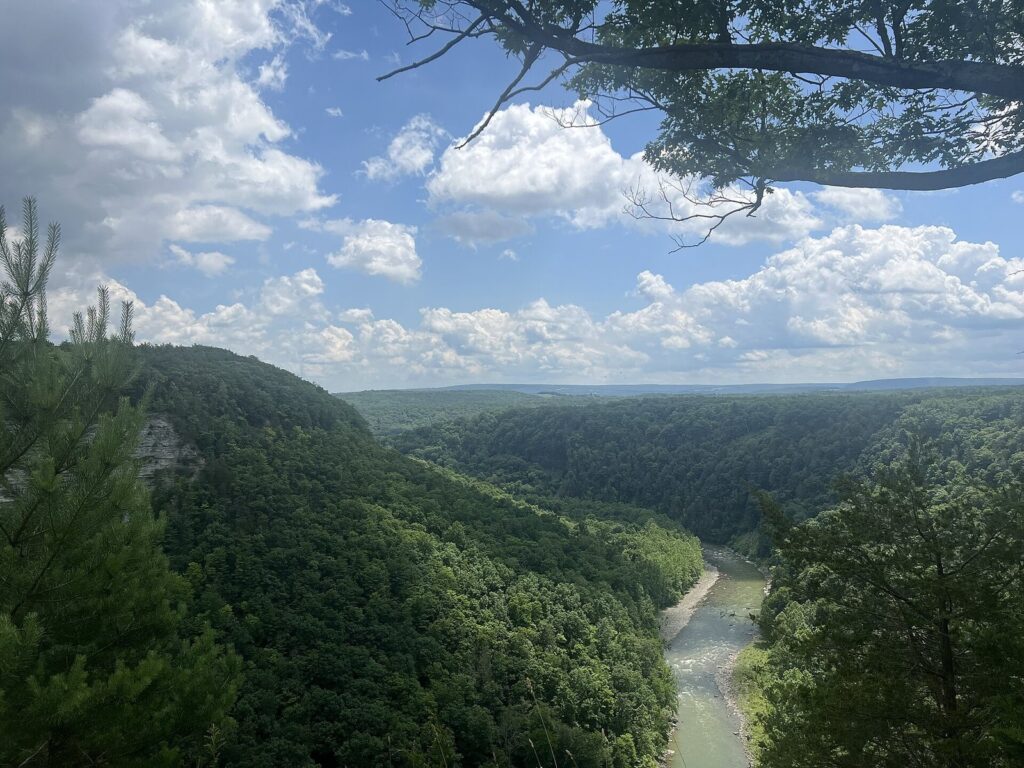 The forested Genesee River gorge at Letchworth State Park seen from an overlook under a summer sky, one of the best day trips from Buffalo NY